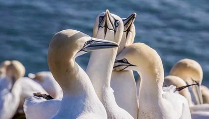 爱游戏平台-体育视频直播：让每一次赛场都触手可及