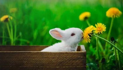 爱游戏在线-乐竞体育网址：开启你的竞技新体验